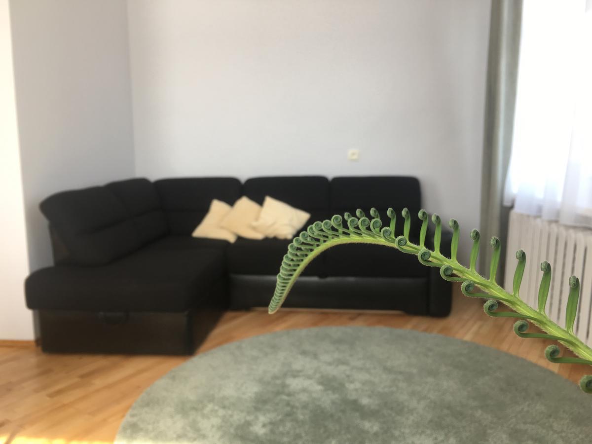 Apartamentai Eurista Druskininkai Luaran gambar